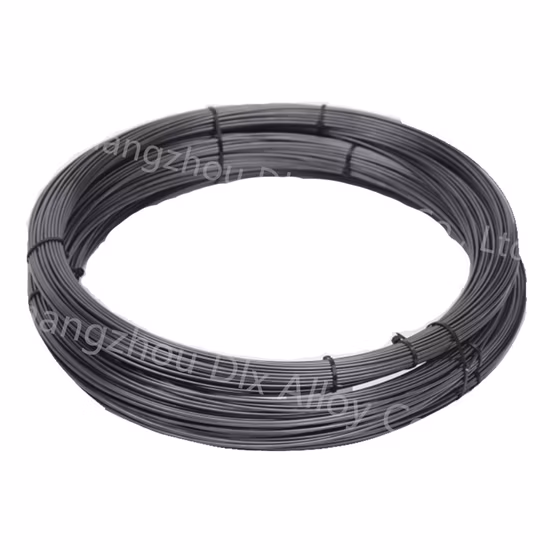 Gr2 Gr3 Gr5 Gr7 ASTM B863 Titanium Wire
